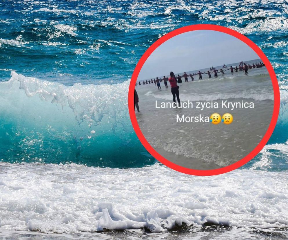 Łańcuch życia w Krynicy Morskiej