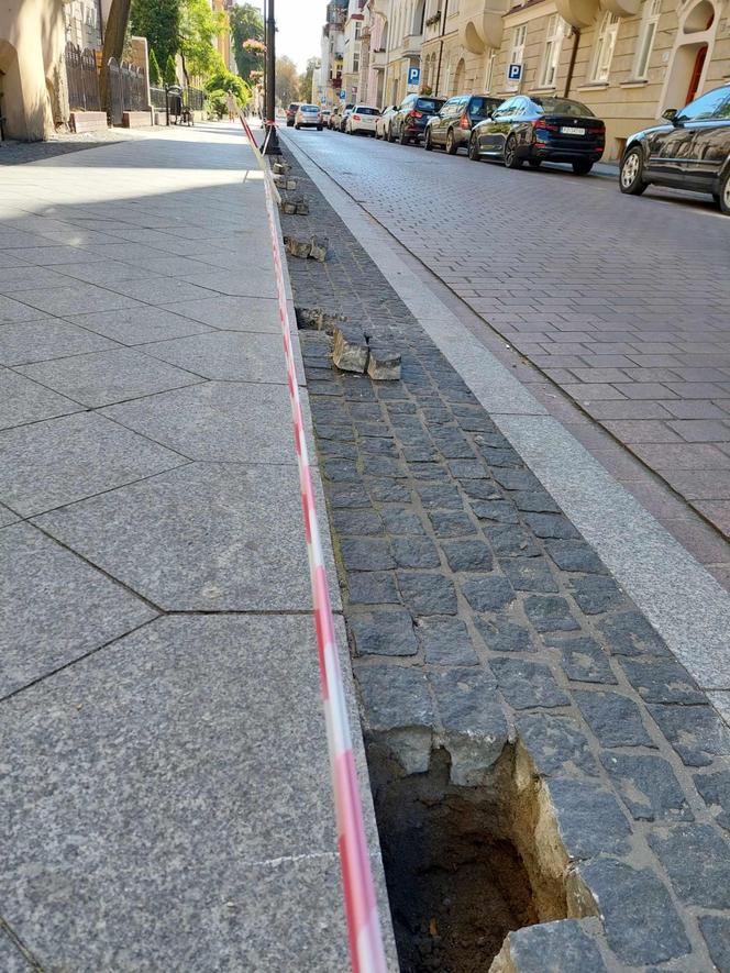 Bydgoszczanie marzą o roślinach wzdłuż ulicy, a drogowcy chcieli tam słupków. Jest reakcja na protest