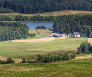 Suwałki - tu żyje się najlepiej w województwie podlaskim. AI nie ma wątpliwości