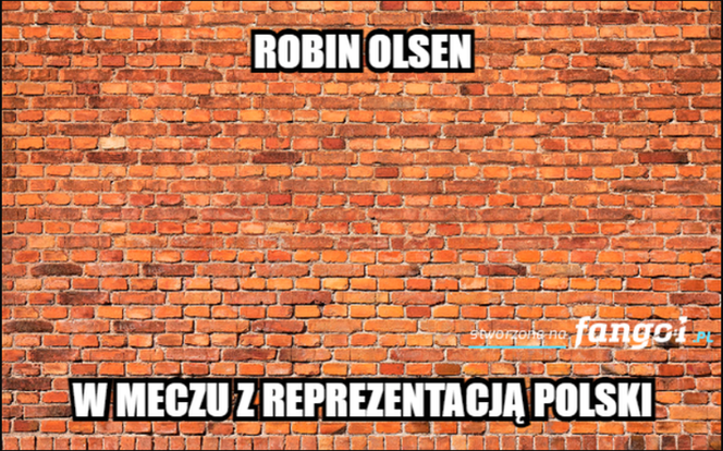 Mecz Polska - Szwecja: MEMY PO MECZU. Polska odpada z Euro 2020 [ZDJĘCIA]