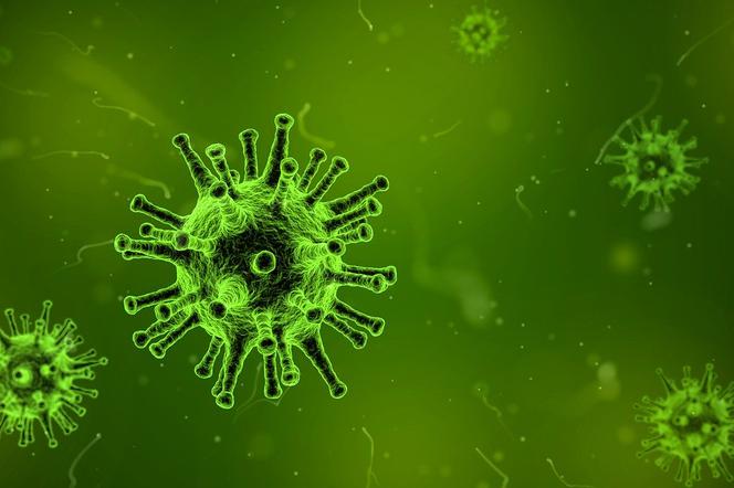 Drugi potwierdzony przypadek koronawirusa w Szpitalu Uniwersyteckim w Zielonej Górze 