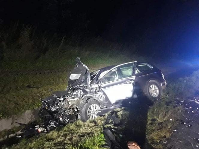Jeleń doprowadził do tragedii w Małopolsce