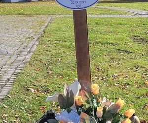 Sprawa Izabeli z Pszczyny. Lekarze wracają do pracy? Jest decyzja sądu