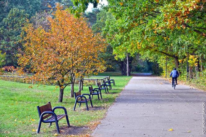 Zobacz jak wygląda największy park miejski w Polsce