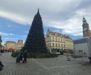 Choinka za milion złotych stanęła we Wrocławiu. Tak wygląda luksusowe drzewko 