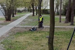 W Otwocku koszą trawniki, których... nie ma. Mieszkańcy kpią: Cyrk na kółkach! [GALERIA]