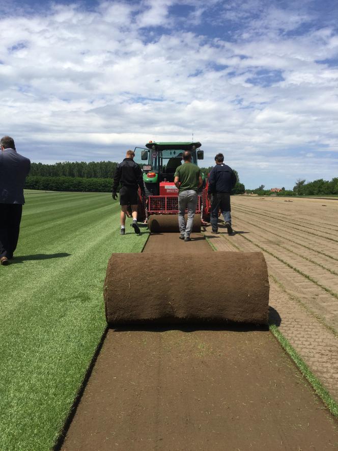 Nowa murawa na Stadionie Śląskim