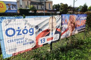 Rzeszowskie osiedla pozaklejane plakatami wyborczymi. Plakat na plakacie 