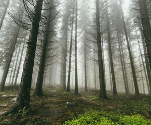 Wyprawa do lasu w mieście. Wyjątkowe wydarzenie w Lublinie na koniec wakacji