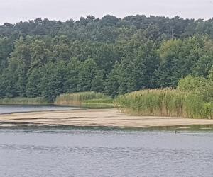 Jezioro Długie w Olsztynie zostanie oczyszczone z nadmiaru moczarki