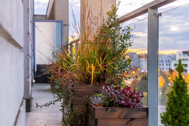 Jesienna metamorfoza balkonu