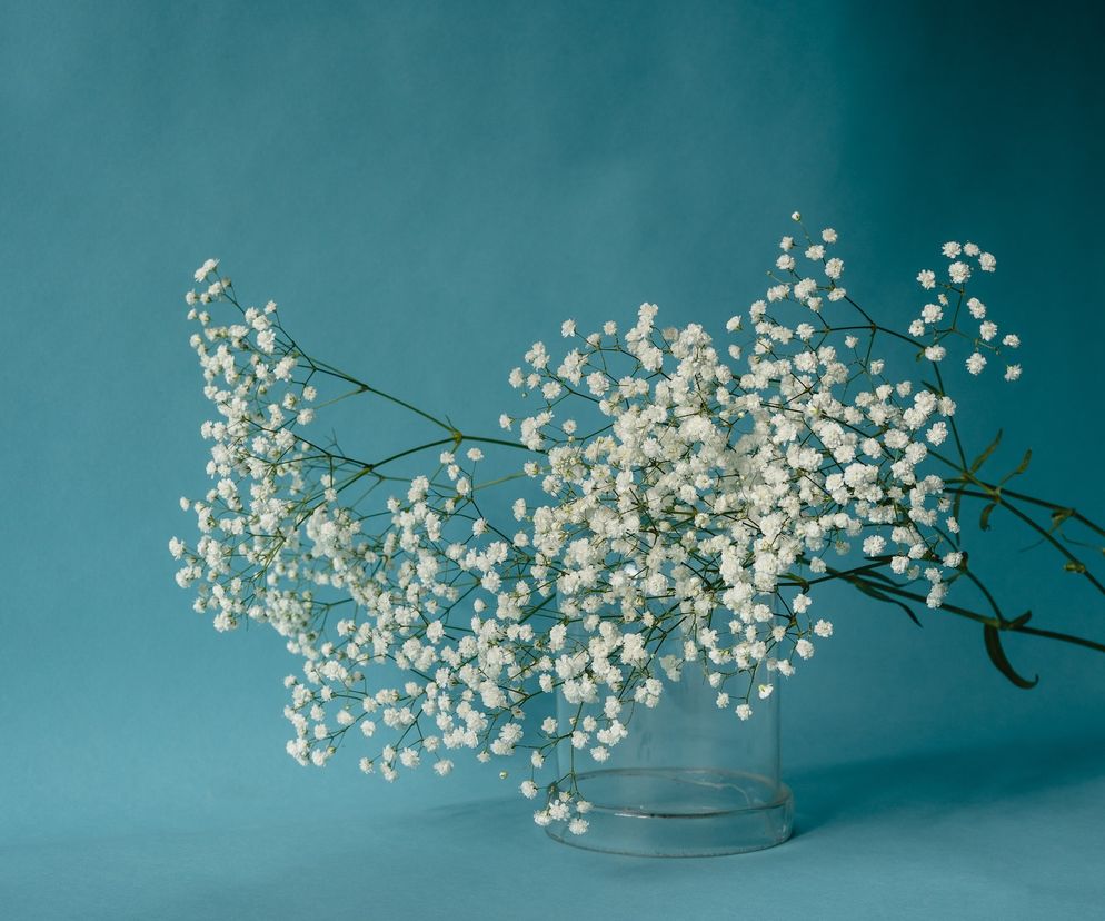 Życzenia imieninowe