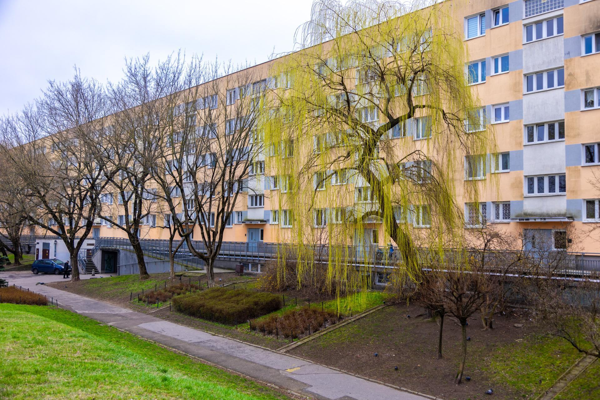 Jamnik - zdjęcia najdłuższego prostego bloku w Warszawie