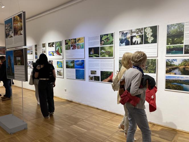 Latynoska Noc w Muzeum Ziemi Lubuskiej