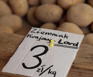 Ziemniaki po 2 zł za 1 kg? Sprawdziliśmy, jakie są ceny na lubelskim targowisku