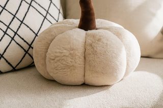 Poszewki jesienne - Sinsay 