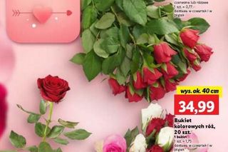 Podaruj miłość w wyjątkowej cenie!