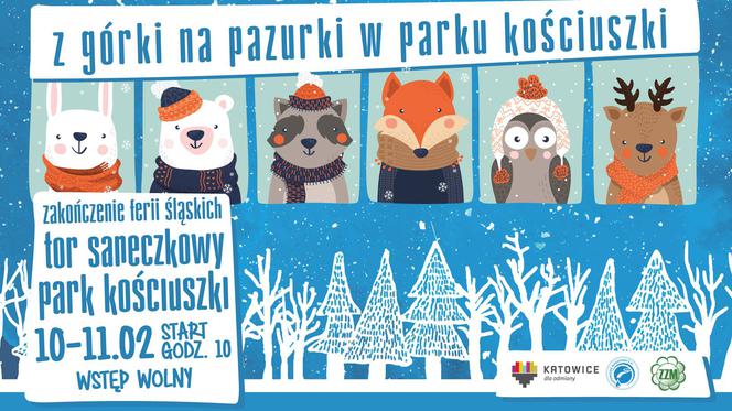 Katowice: Reaktywacja toru saneczkowego w Parku Kościuszki!