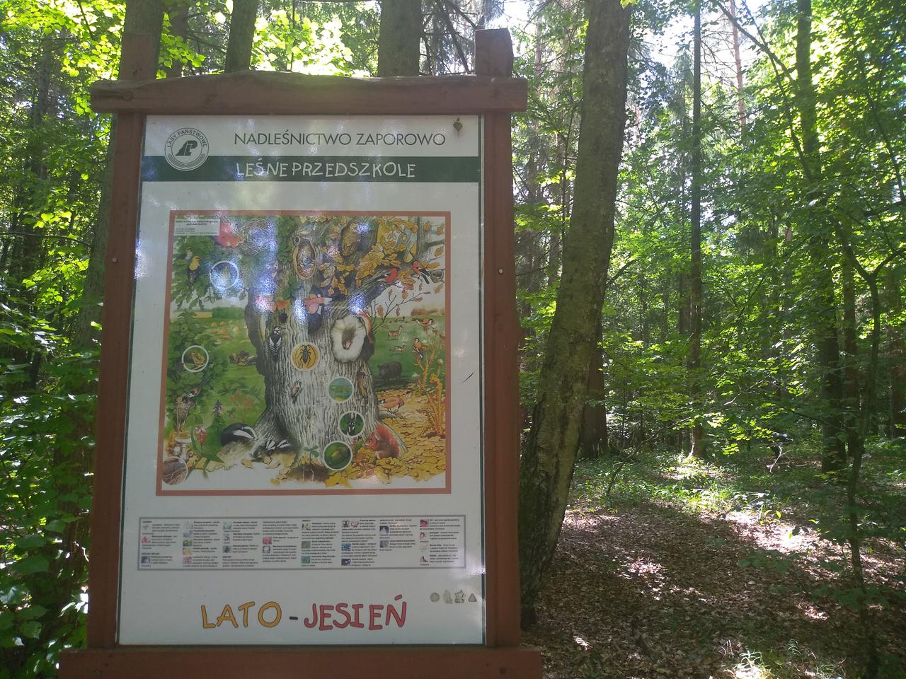 Nadleśnictwo Zaporowo zaprasza na spacer ścieżką edukacyjną pod hasłem Leśne prawdy