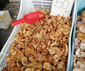 Ceny grzybów w listopadzie. Po ile gąski, kanie, rydze i opieńki na koniec sezonu w Krakowie? [GALERIA]