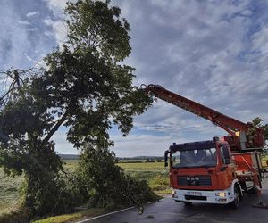Dolnośląskie. Burze wyrządziły wiele szkód w regionie. Tak wyglądają okolice Jawora [ZDJĘCIA].