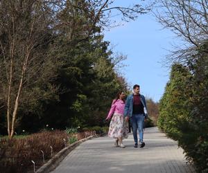 Ogród Botaniczny w Lublinie otwarty! Wszędzie widać wiosnę