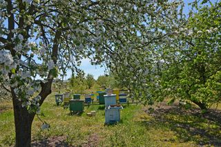 Błędów (woj. mazowieckie)