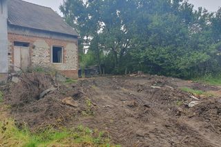 Zabili Tomka i zakopali w ogrodzie 