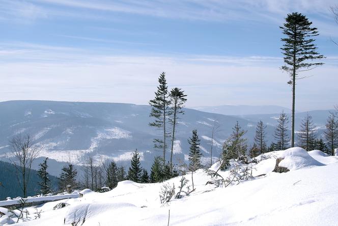 Góry Opawskie: Pojawił się pierwszy śnieg. Po turystach ani śladu