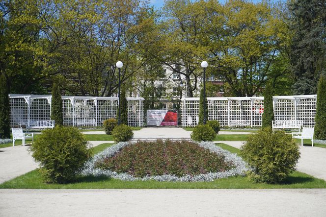 Różanka w Parku Planty po remoncie