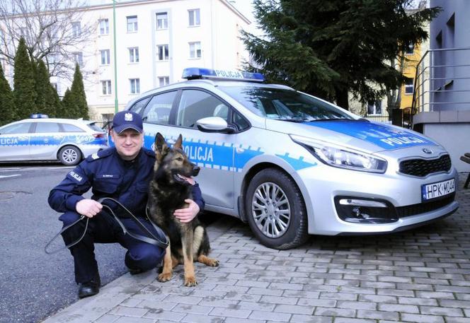 Funkcjonariusze na czterech łapach zaczynają służbę! Poznajcie Naba i Barego [ZDJĘCIA]