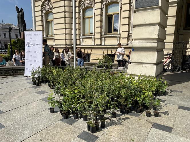 Młodzieżowa Rada Miasta rozdała sadzonki drzew