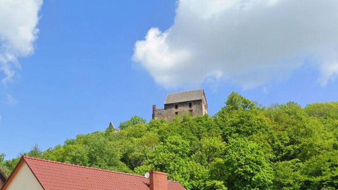 Zamek Świny