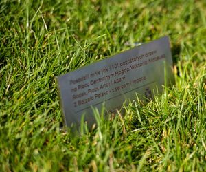 10 tys. zł dla WOŚP za drzewko na pl. Centralnym. Wyjątkowy gest pracowników firmy Balzola