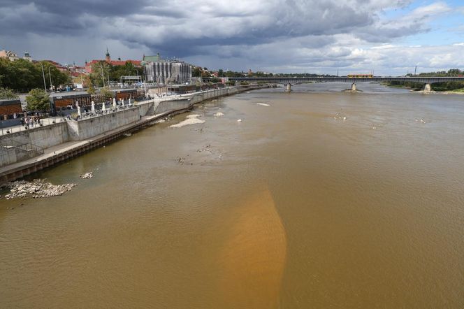 Rekordowo niski stan wody w Wiśle w Warszawie (23.08.2025)