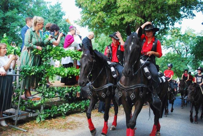 Barwny korowód w Mikstacie. Pobłogosławią zwierzęta z okazji odpustu ku czci św. Rocha