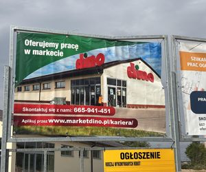 Dino w Sejnach