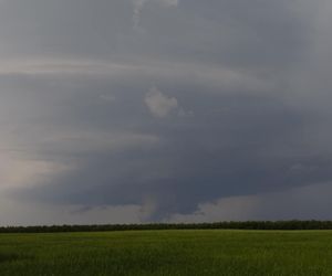 Potężne burze nad Polską. Drzewa spadały na samochody, setki interwencji straży pożarnej 