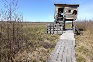 Biebrzański Park Narodowy