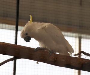 ZooPark ponownie przyciągnął do Targów Lublin tłumy miłośników zwierząt