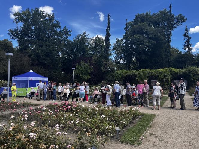 Kolejka tort urodziny Szczecina 