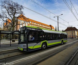 Burza wokół linii nr 116 w Olsztynie. Czy połączenie powróci?