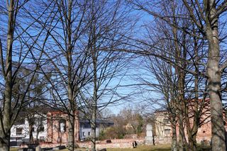 Kościół pw. Św. Krzyża w Rumi (pomorskie)