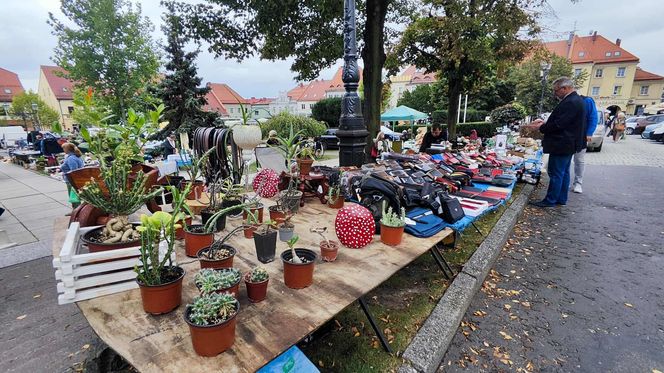 Jarmark Staroci w Wodzisławiu Śląskim