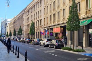 Nowe drzewa na ul. Mazowieckiej