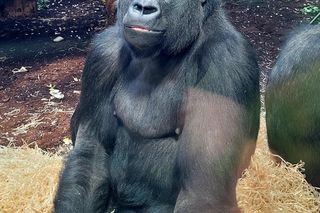 Nowe mieszkanki w ZOO Warszawa