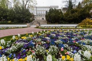 Pałac Prezydencki na wiosnę