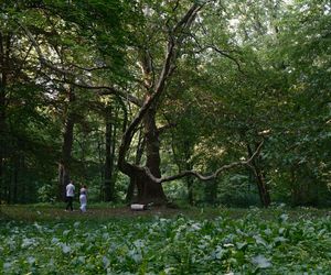 3. odcinek Rolnik szuka żony