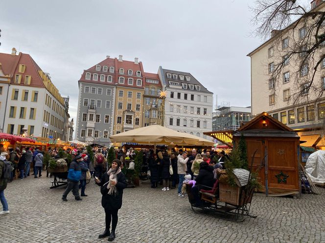 Najstarszy jarmark bożonarodzeniowy w Niemczech. Drezno zachwyca turystów z całego świata 