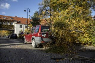 Połamane drzewa i ofiary śmiertelne: Kiedy koniec wichur w Polsce? [PROGNOZA POGODY]